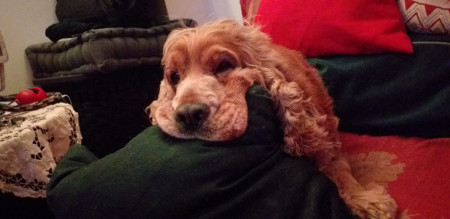 ROGER E LA SUA RAGAZZA